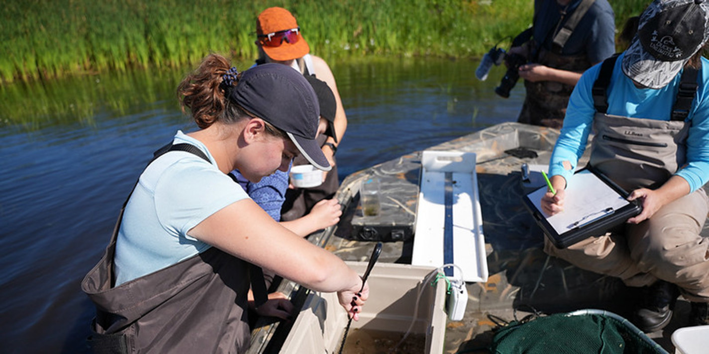 Students shown participating in a research activity
