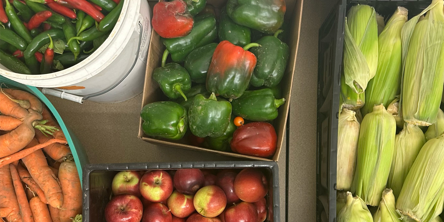 Several cases of vegetables are shown